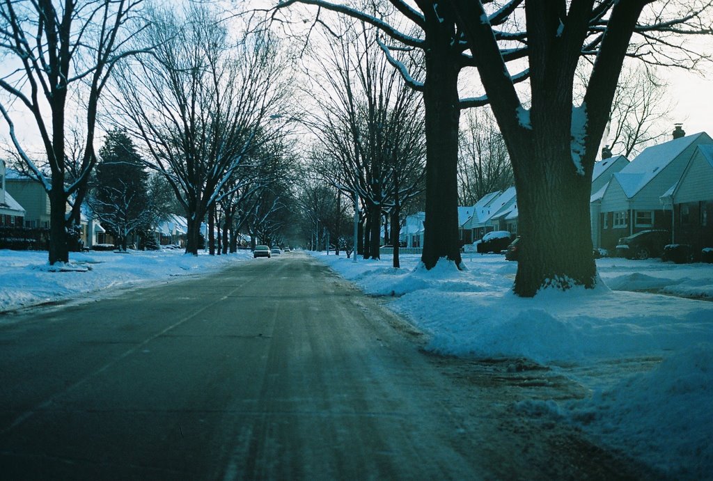 Winter scene on Lancaster Street Harper Woods Michigan USA