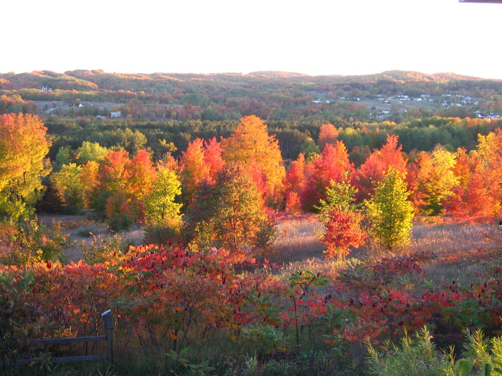Fall in Leelanau