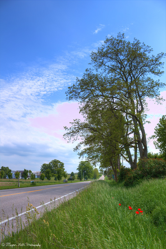 French Road