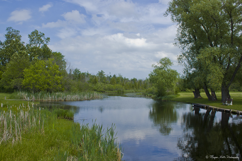 Cedar River