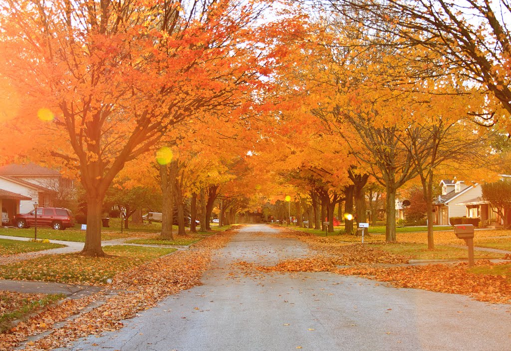 Beautiful orange and golden corridor of west 39th Street in south Holland
