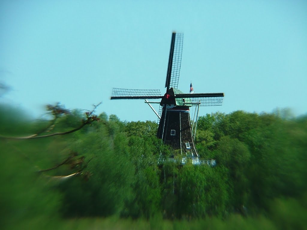 De Zwann, Holland, MI