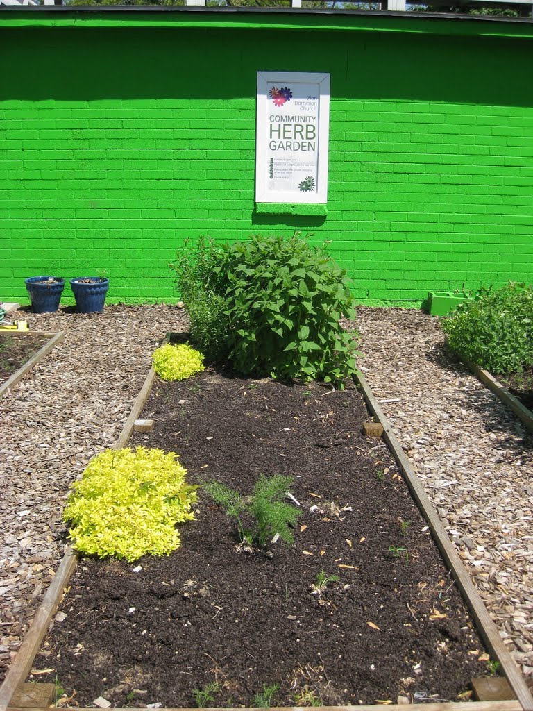 Zion Dominion church Herb Garden