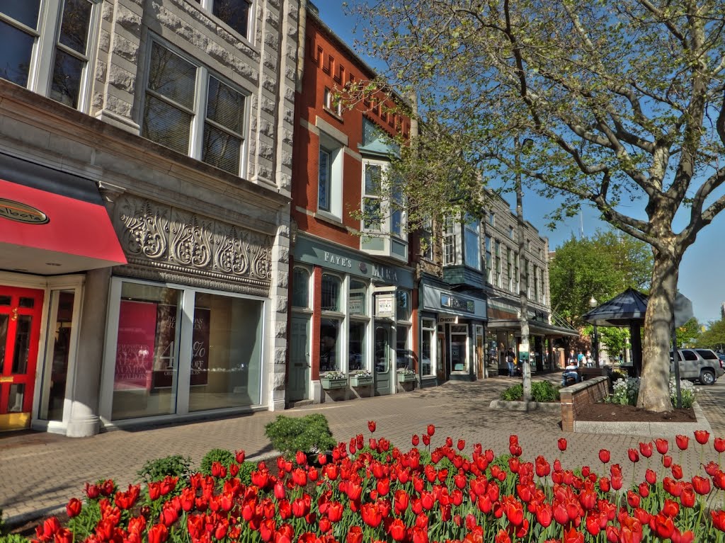 West 8th Street (Holland, MI)