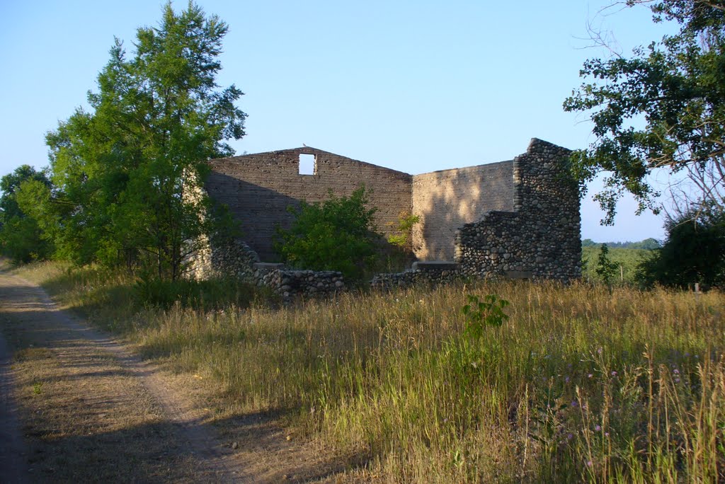Remains of Old Potato Warehouse-2007