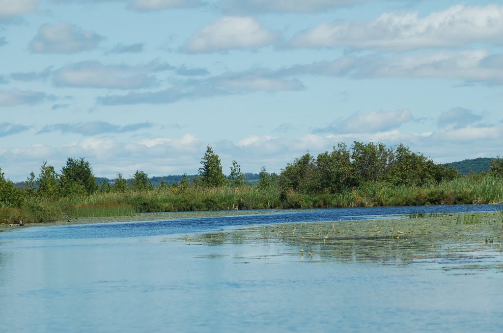 Cedar River at Lake Leelanau, Michigan