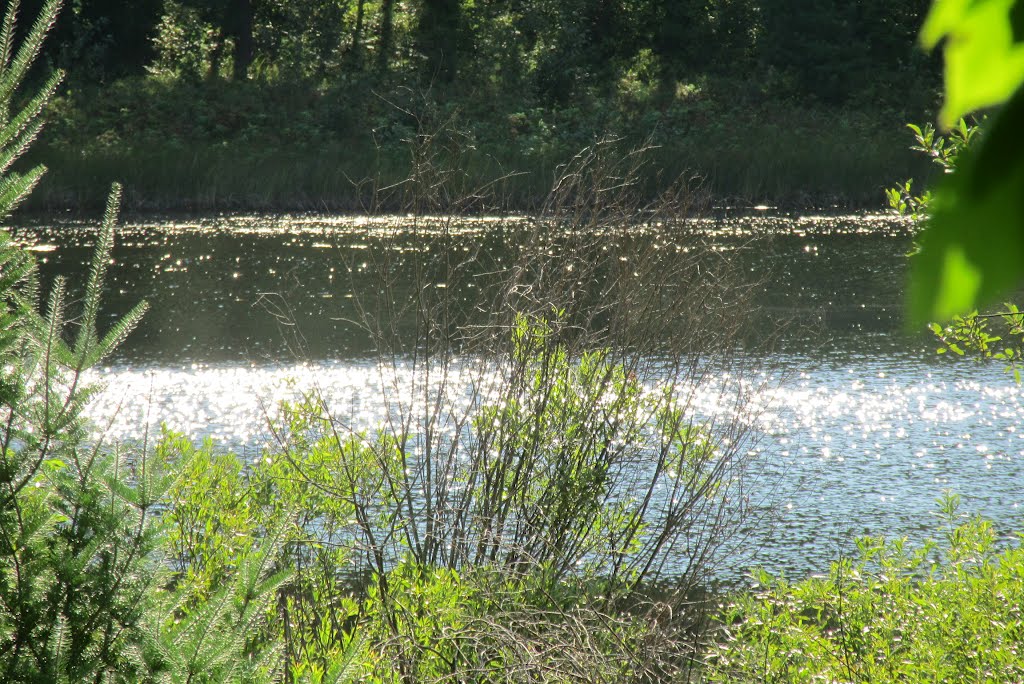 Shines on Lawrence Lake