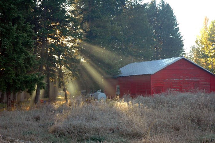 Montana Ranch