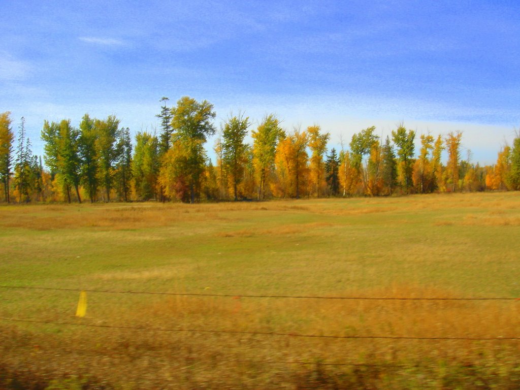 Kalispell, East of Town