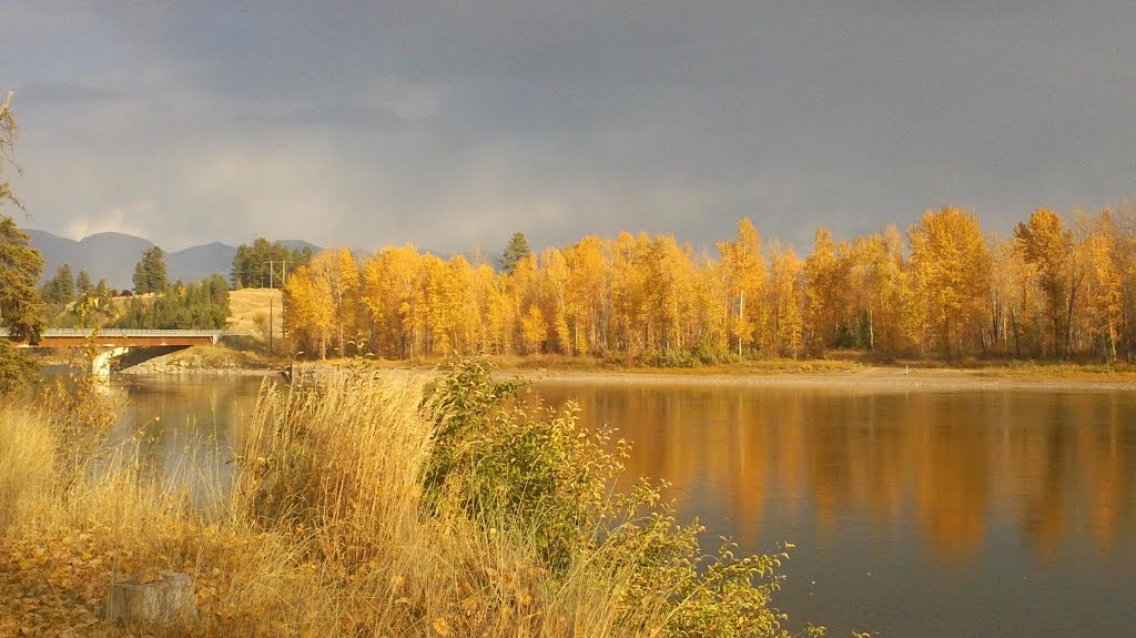 FALL on the FLATHEAD