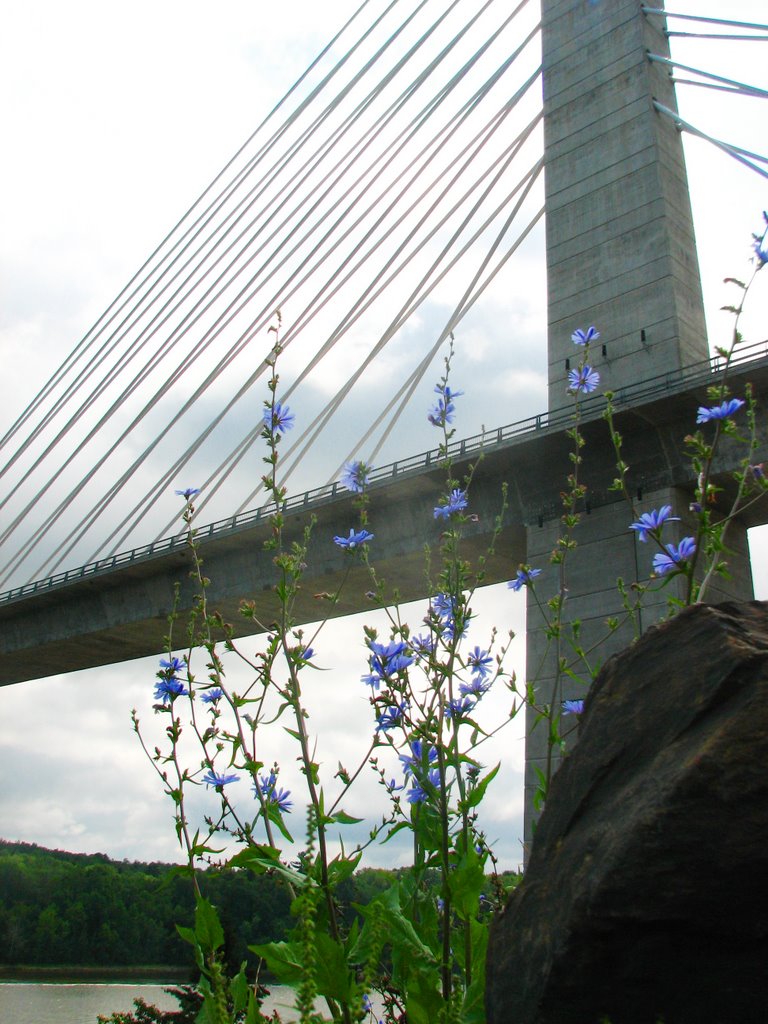 Penobscot Narrows Bridge Observatory