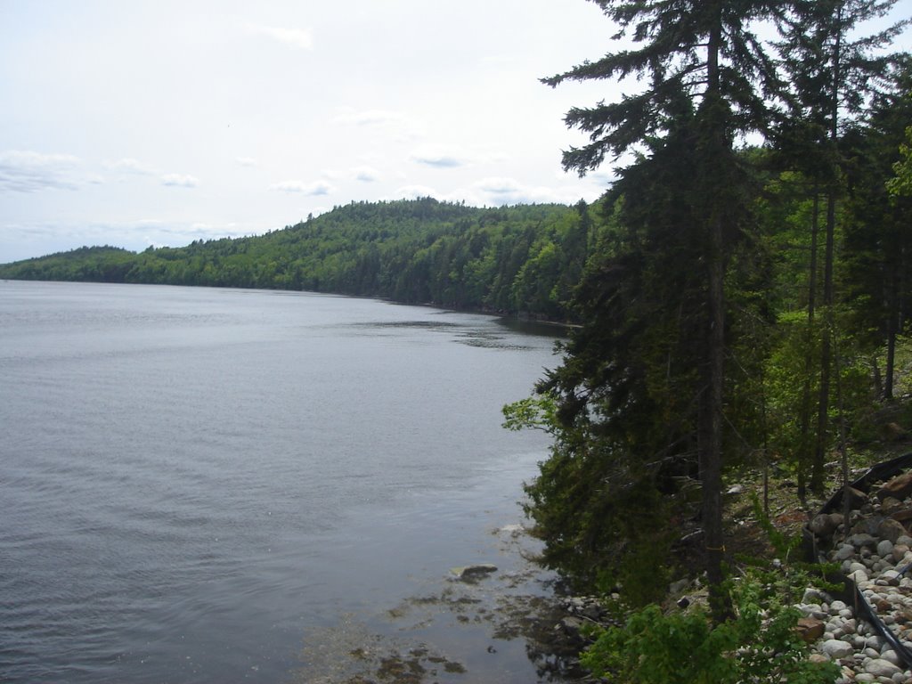 next to the penobscot narrows bridge, verona island, maine