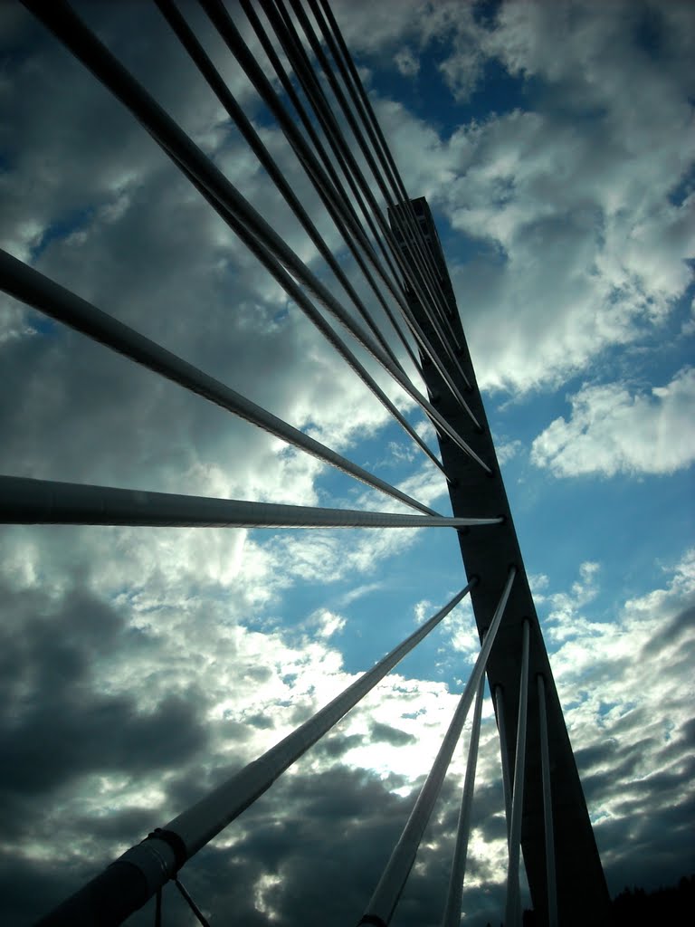Penobscot Narrows Bridge