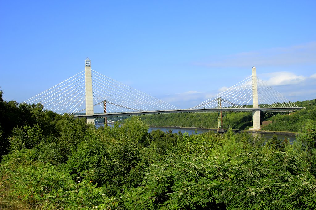New bridge