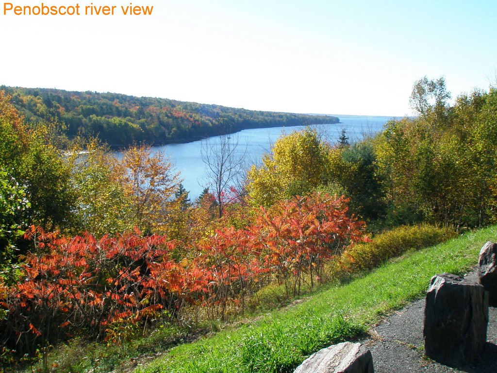 views near Bucksport, Maine