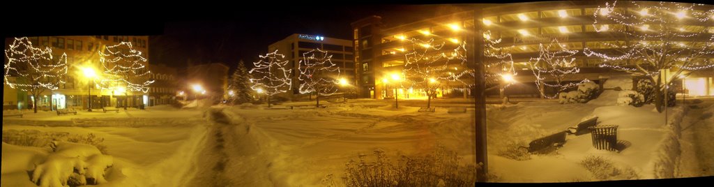 Pickering Square Pano, New Years 2008