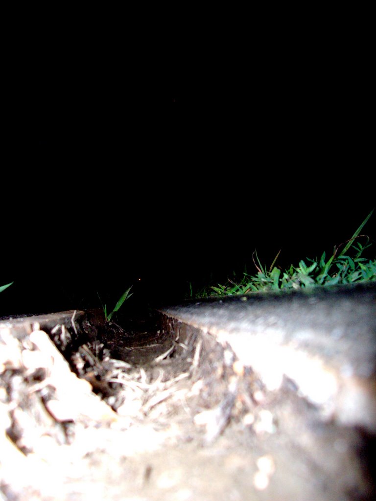 Rail Road at night