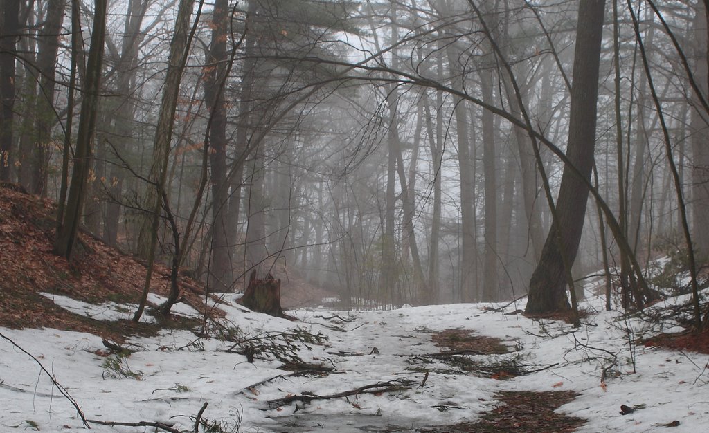Seasonal Transition