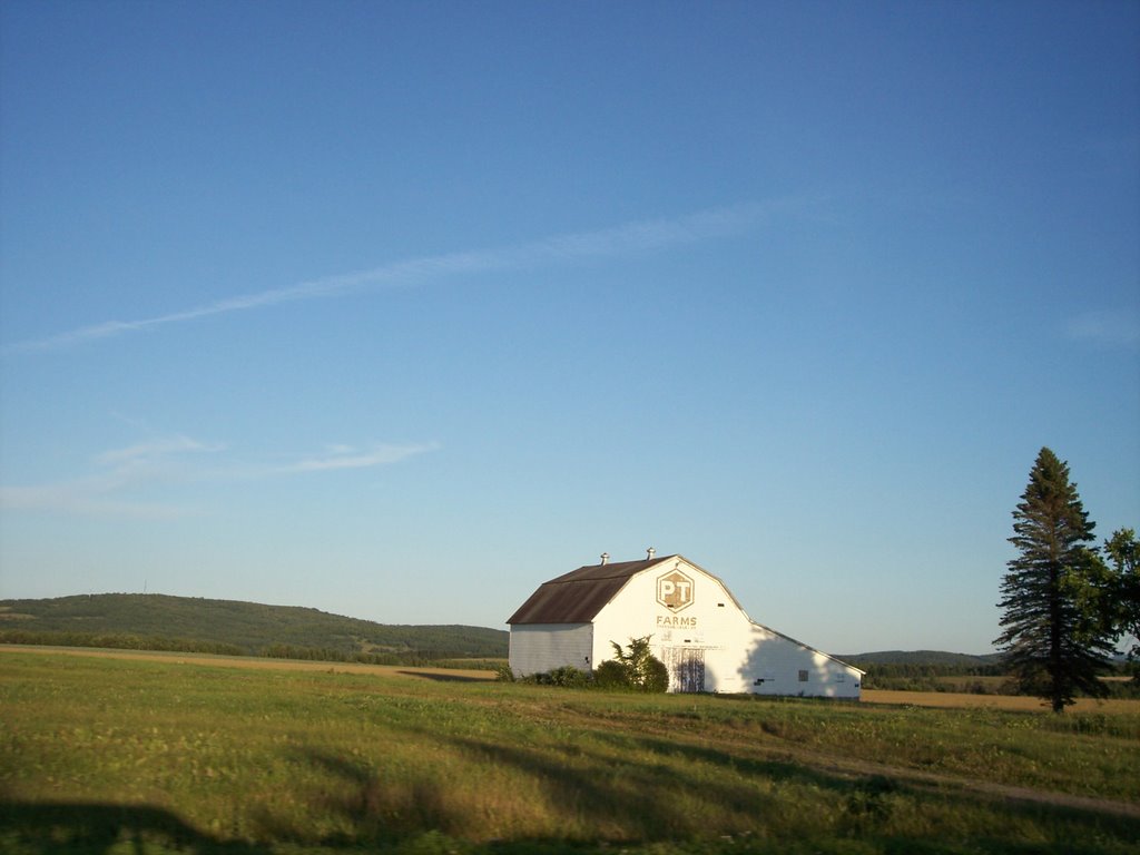 Caribou Rd