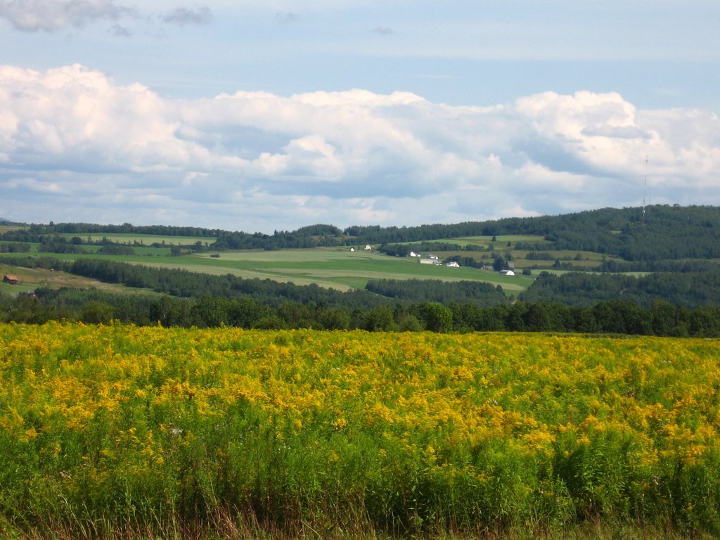 Farm Fields Aroostook County Maine