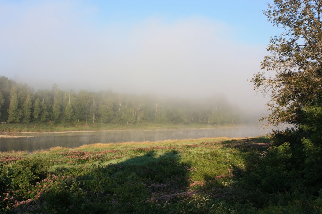 Misty morning on the Aroostook river