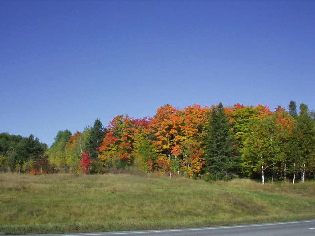 South of Caribou, ME