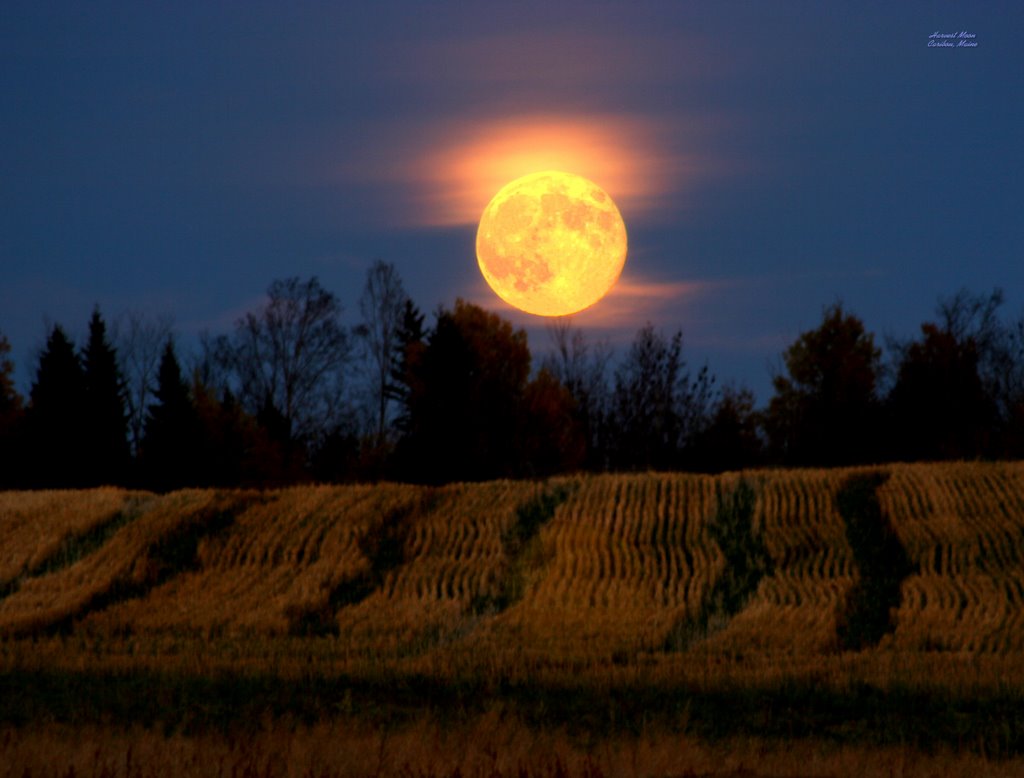 Harvest Moon
