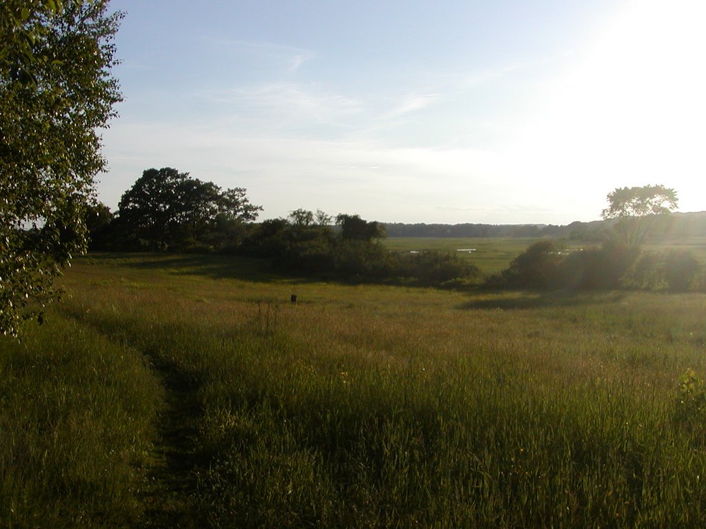 Spurwink Marsh