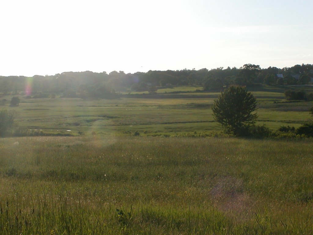 Spurwink Marsh 5