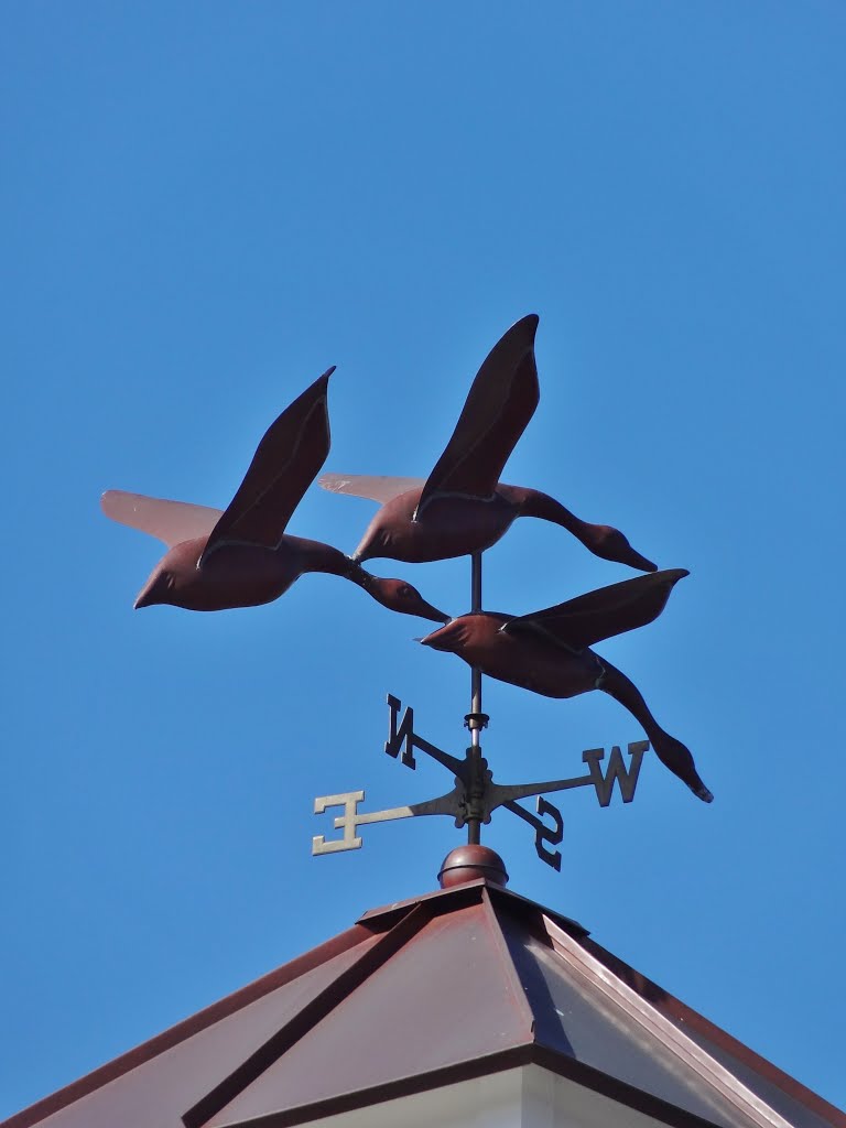 Geese weathervane