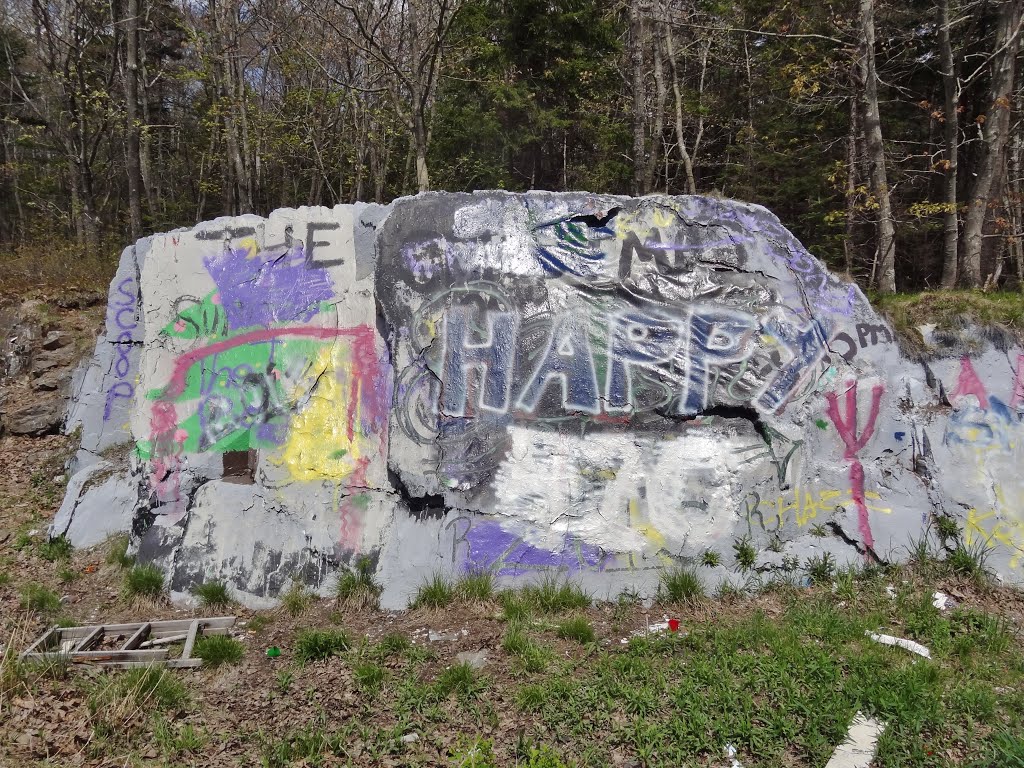 Painted rock, Cape Elizabeth Maine
