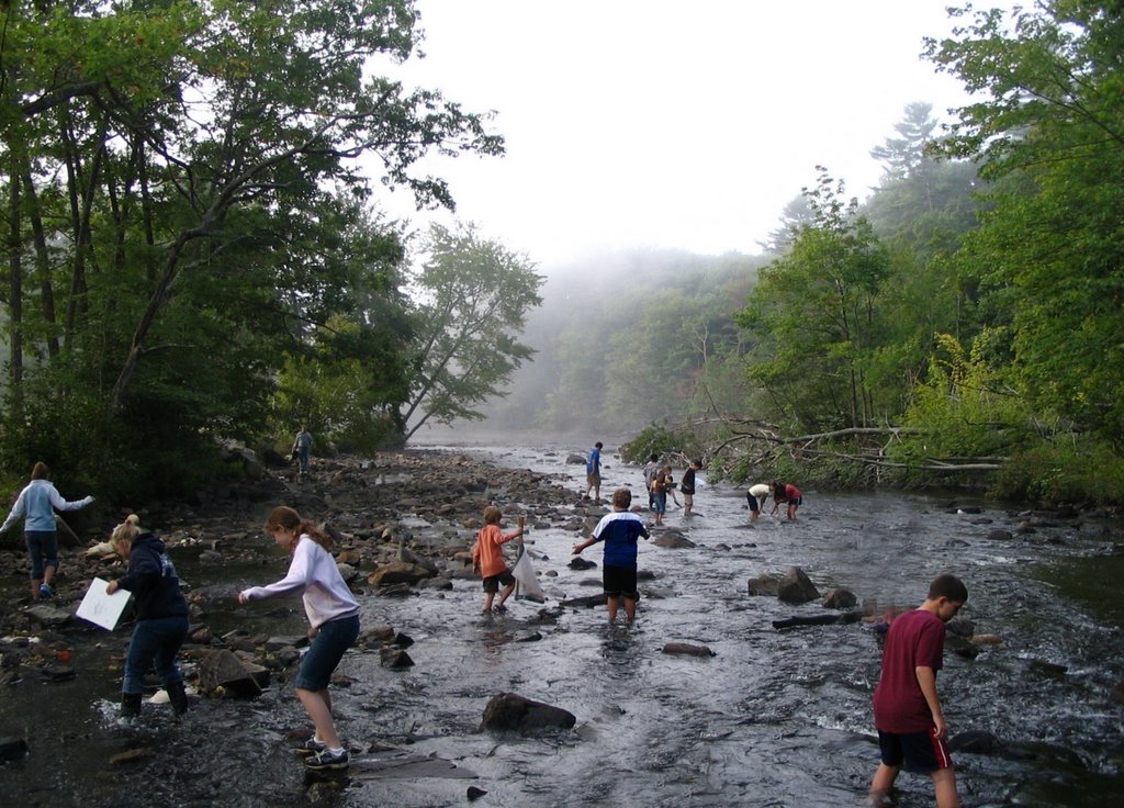 River Study