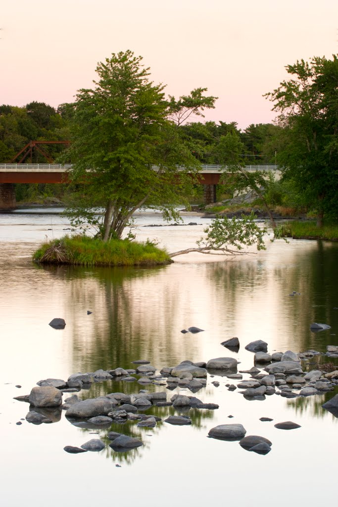 Tree Island