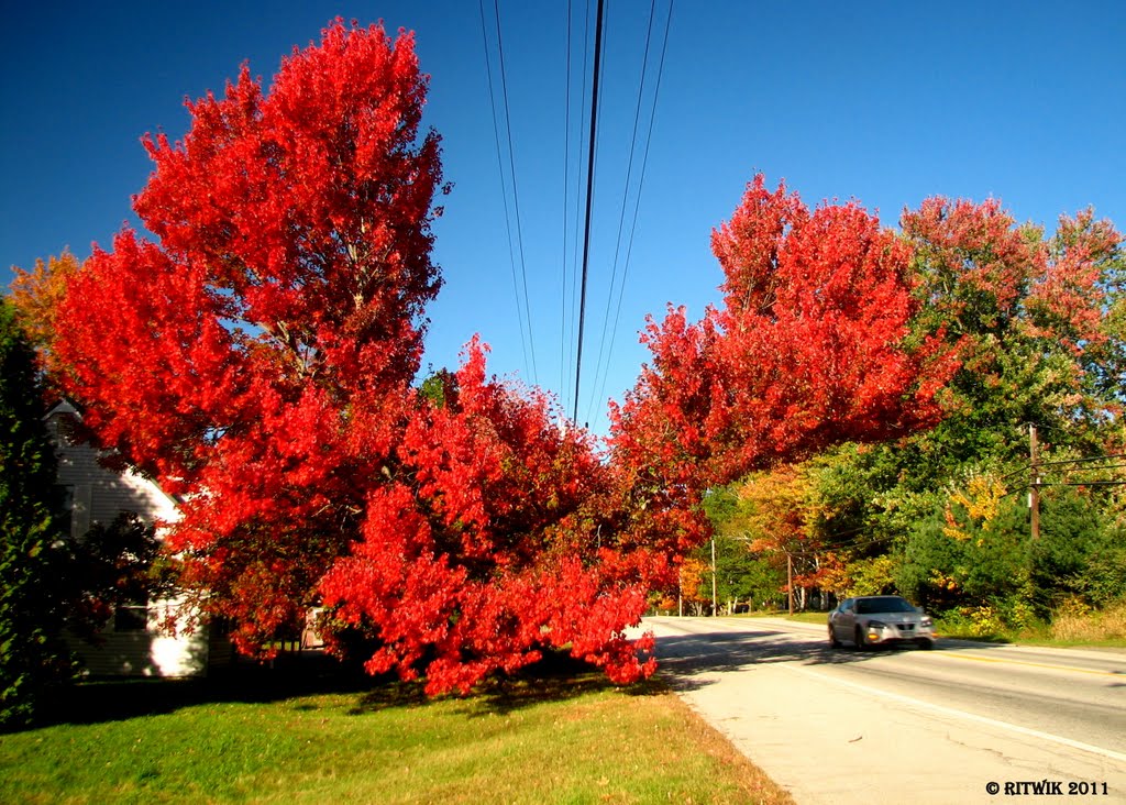 Fall in Milford, Maine