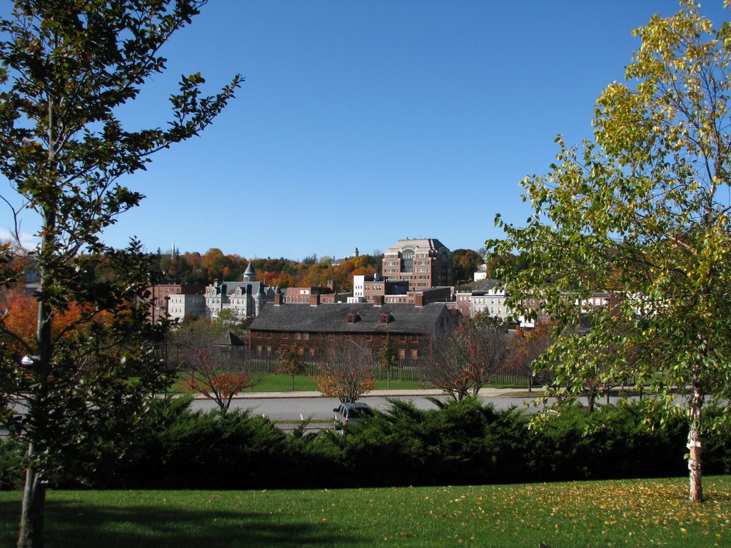 Downtown Augusta from a park off Cony St.