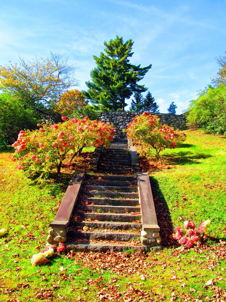 Blaine Memorial Park