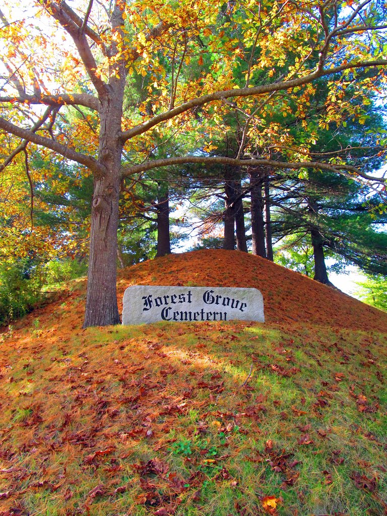 The Forest Grove Cemetery