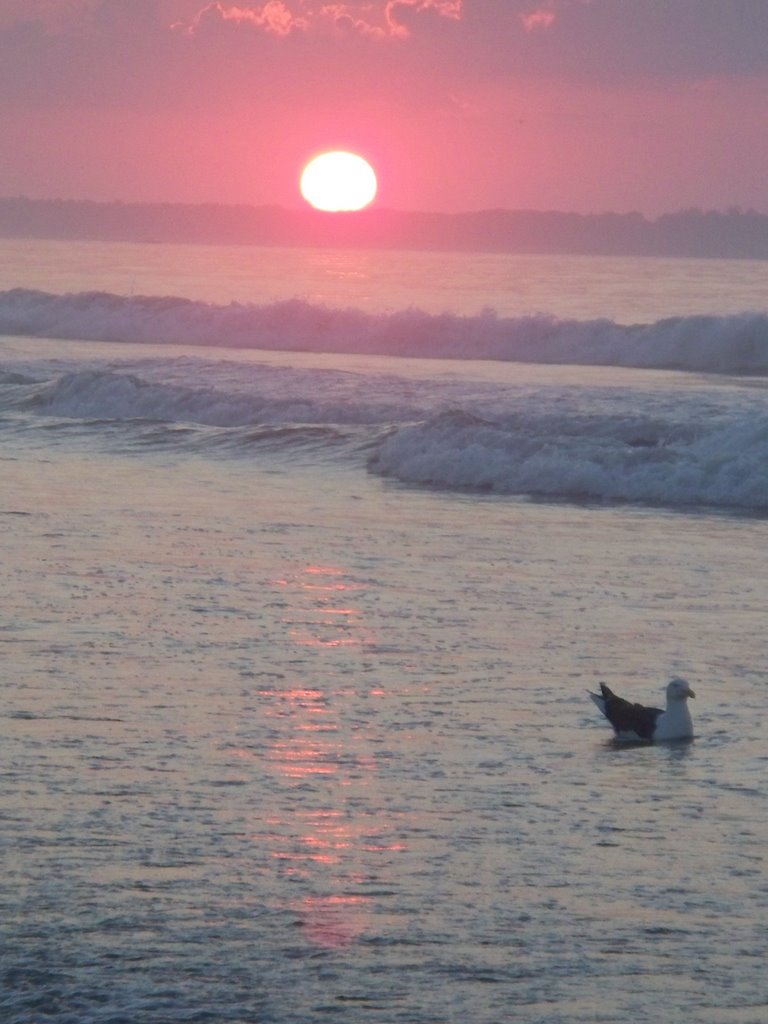 Sunrise at Old Orchard Beach II