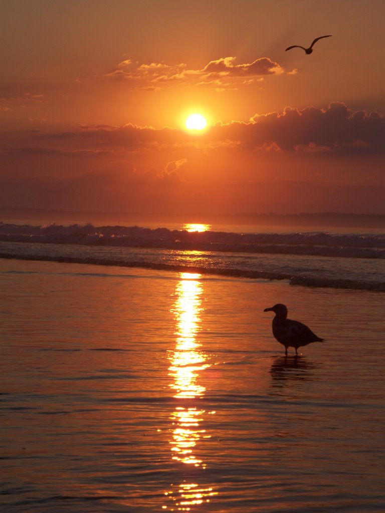 Old Orchard Beachs Amazing Sunrise.
