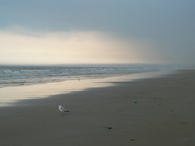Old Orchard Beach