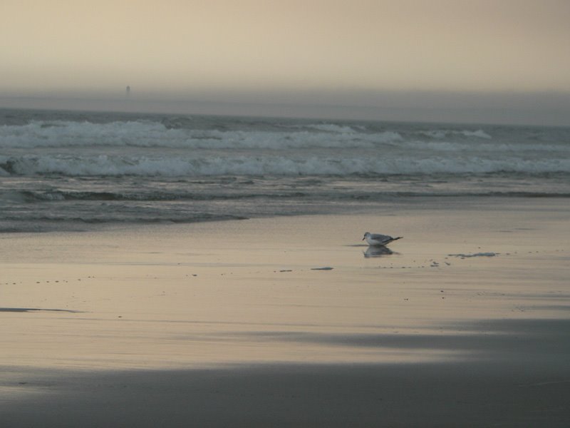 Old Ochard Beach