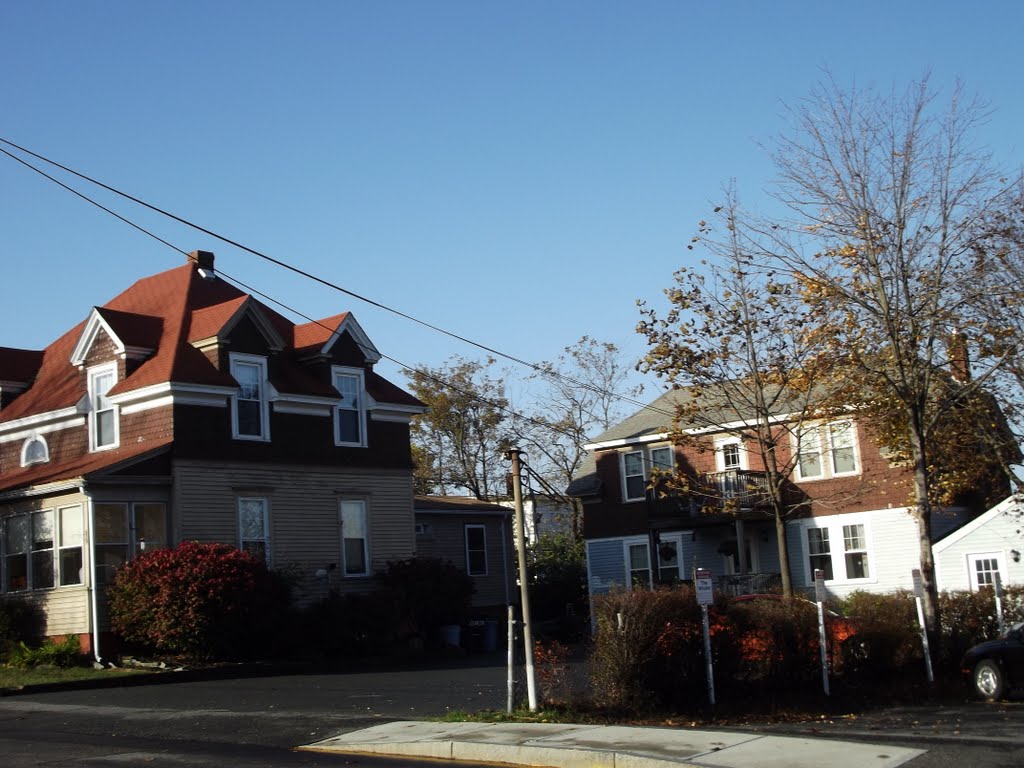 Dormers. Front house and back house.