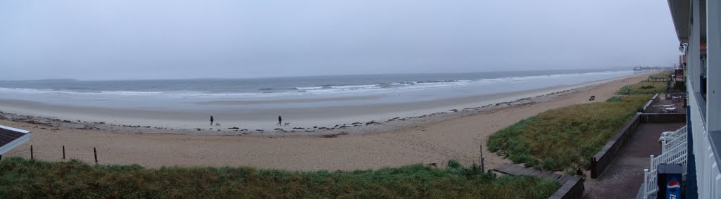 The Beach
