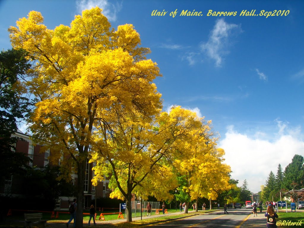 Universiry of Maine, Orono