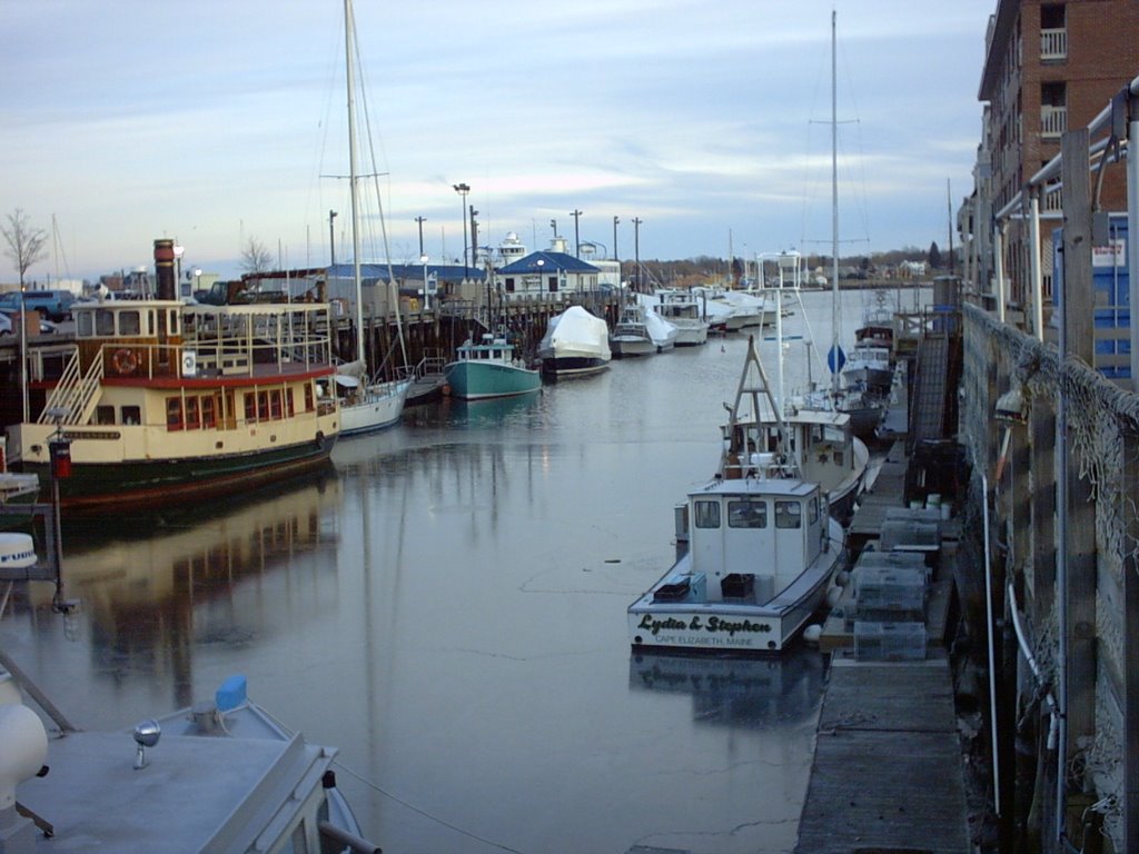 Portland Docks Froze Over