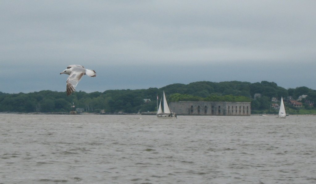 Seagull and the fort