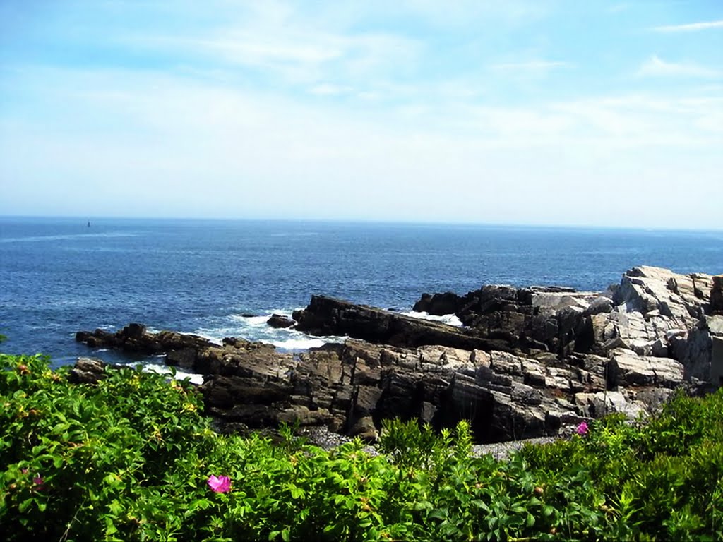 a beach in Portland, Maine - ngockitty