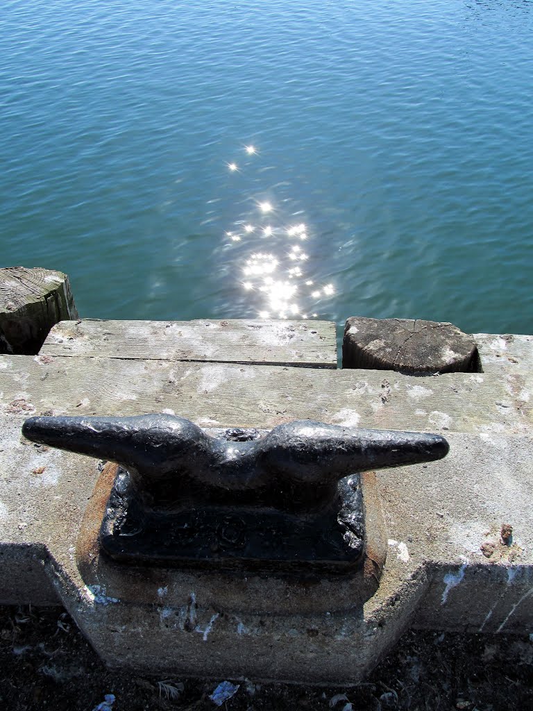 Portland Fish Pier.