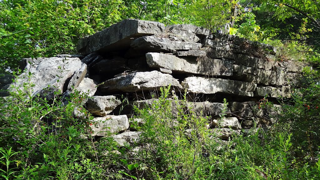 Mill Stream Dam; Mast Landing Audubon Sanctuary, Freeport, Maine
