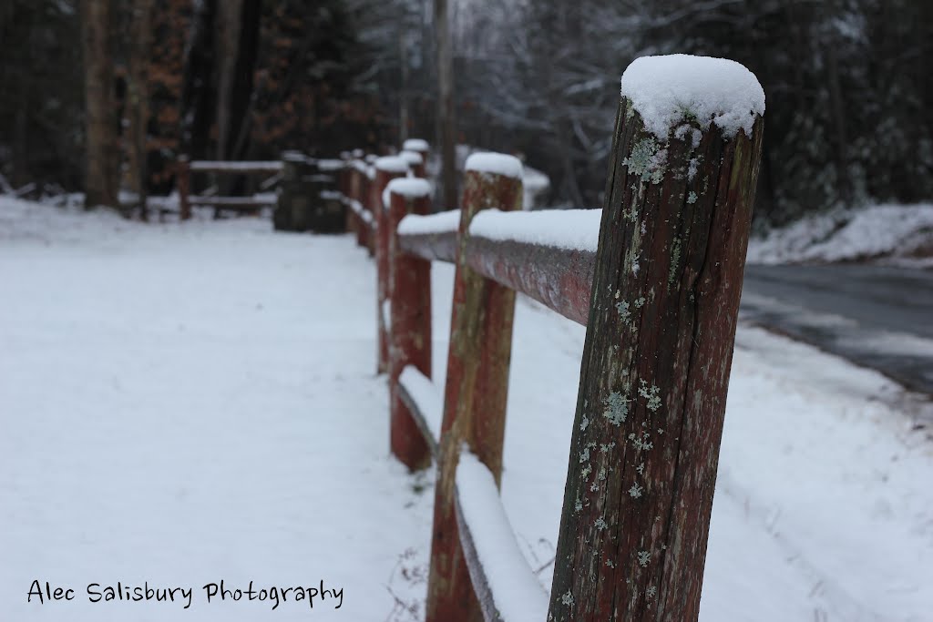 Snowy Fence